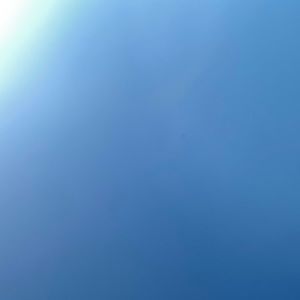 Meet your Posher, Lorena